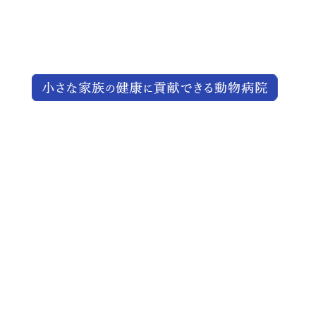 小さな家族の健康に貢献できる動物病院